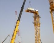 tower crane assembly
